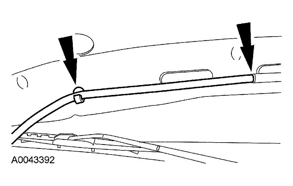 G03947806