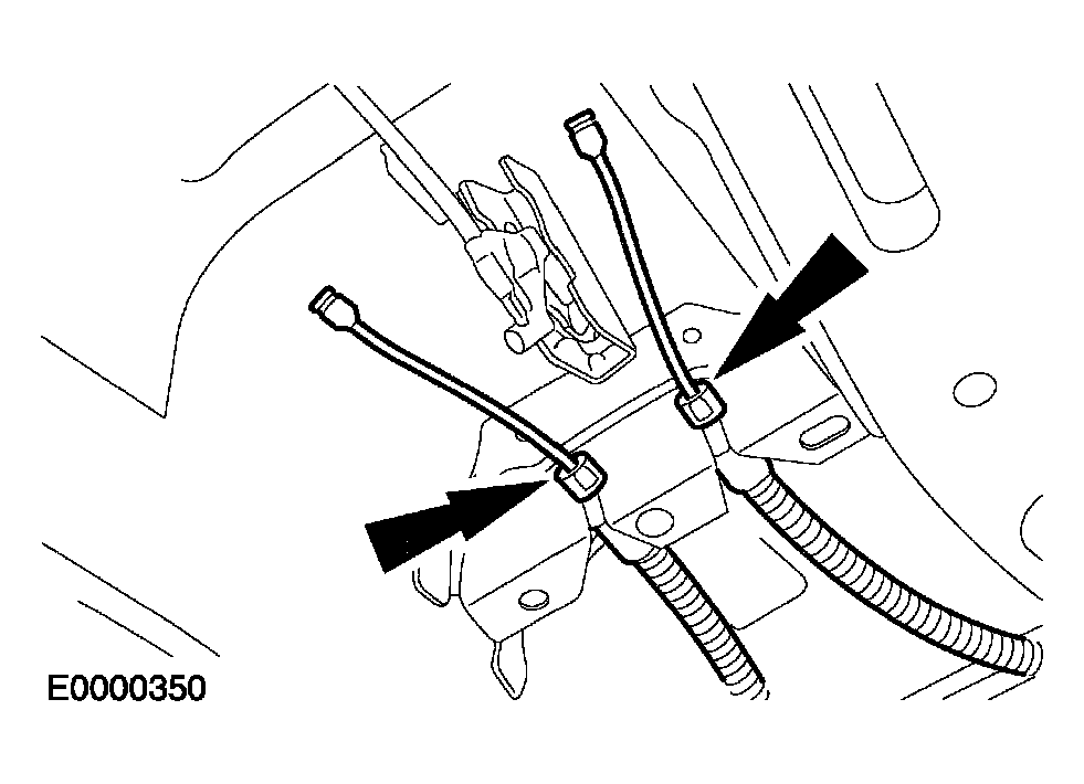 G03950086