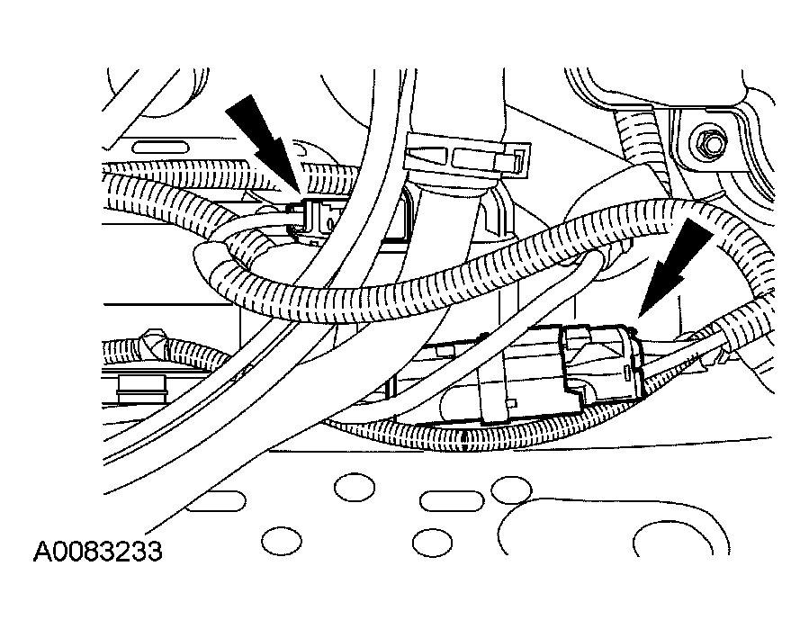 G03950518