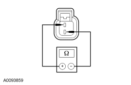 G03953481