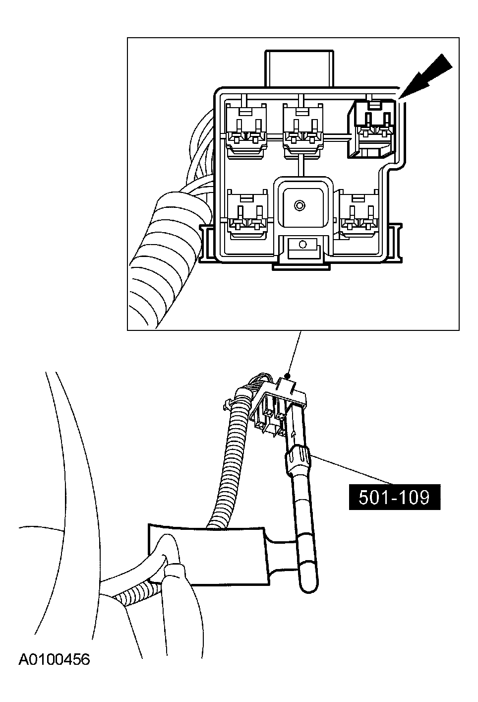 G03953561
