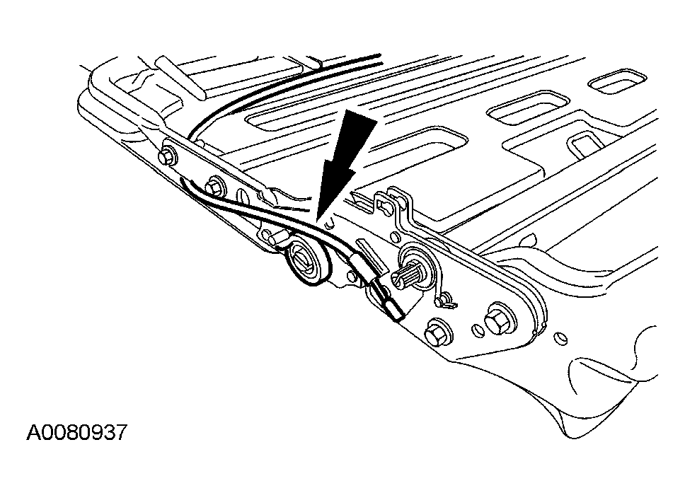 G03953848