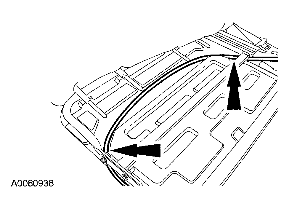 G03953849