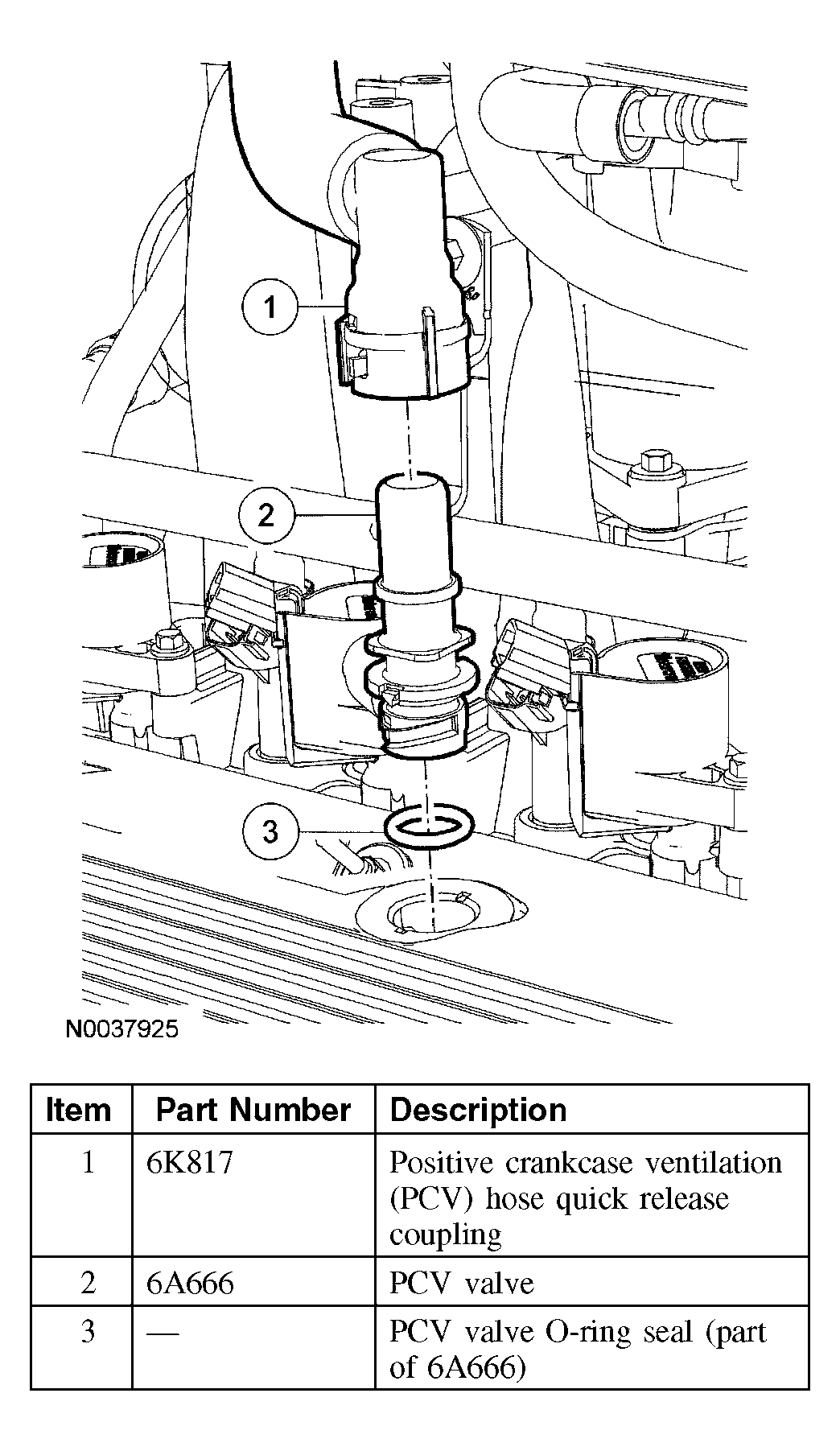 G03963704