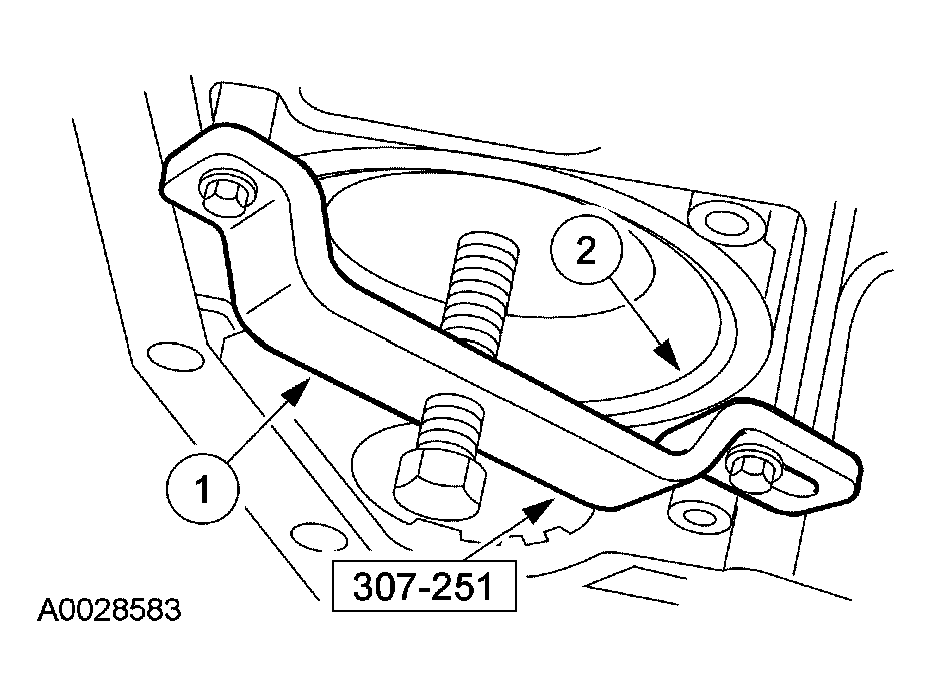 G03963989
