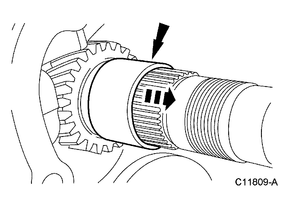 G03964613