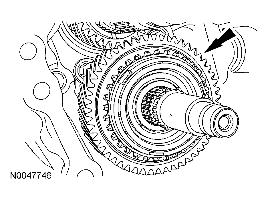 G03964619