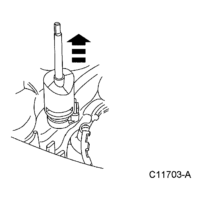 G03964872