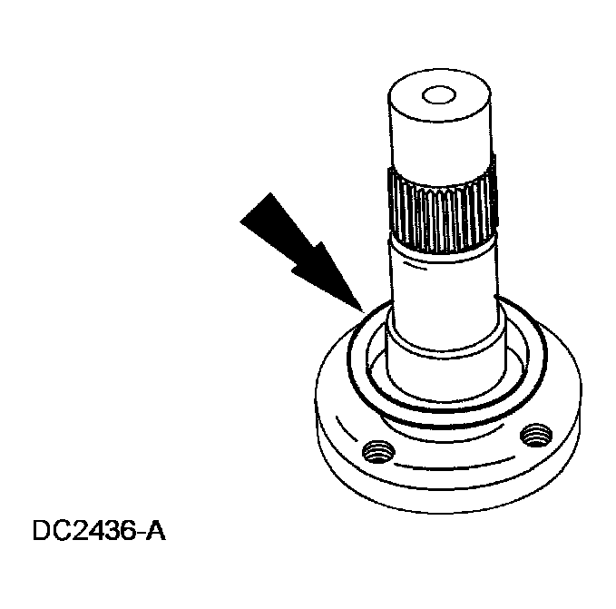 G03964883