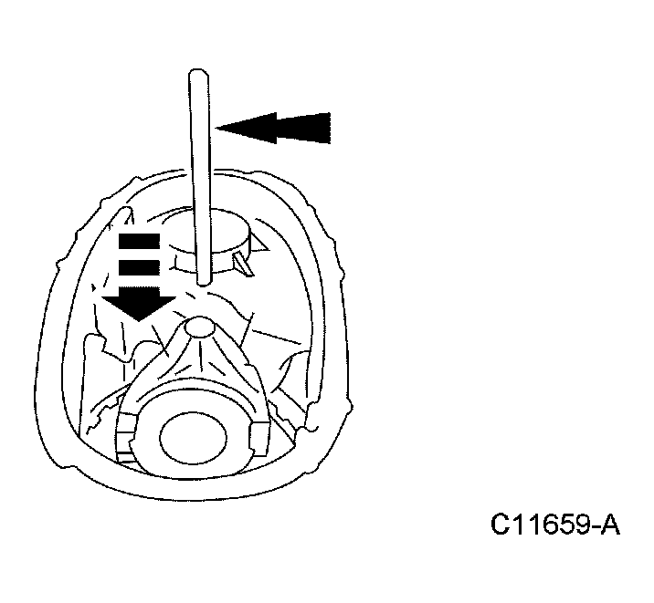 G03964895