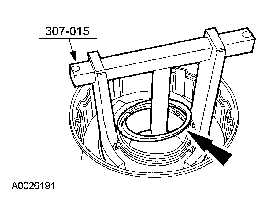 G03975308