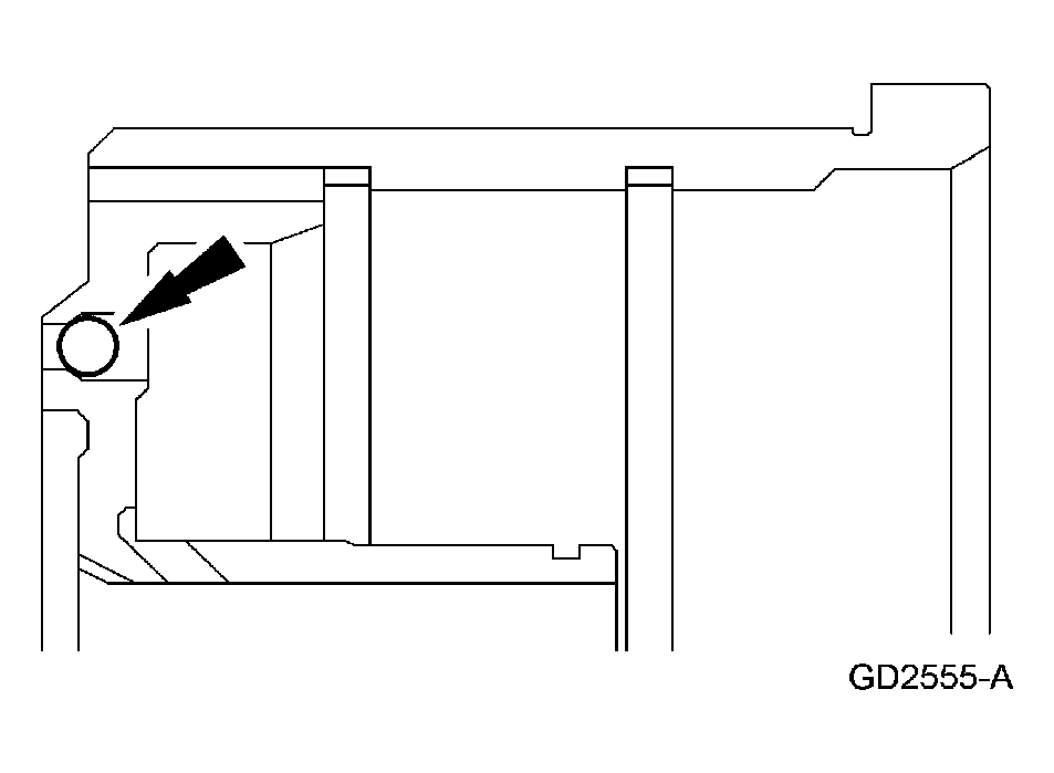 G03975335