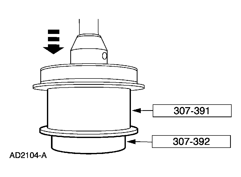 G03975391