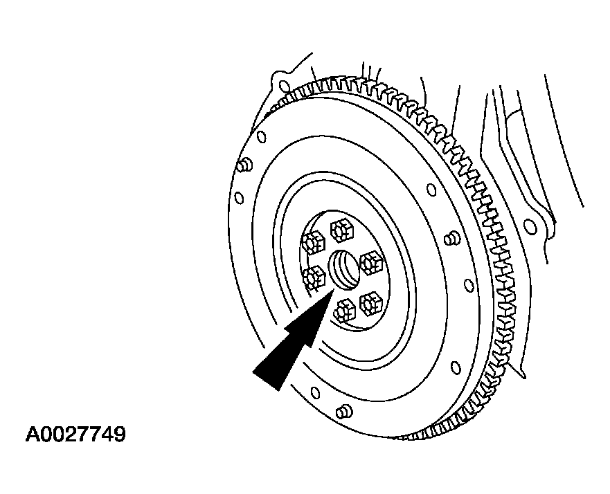 G03975684