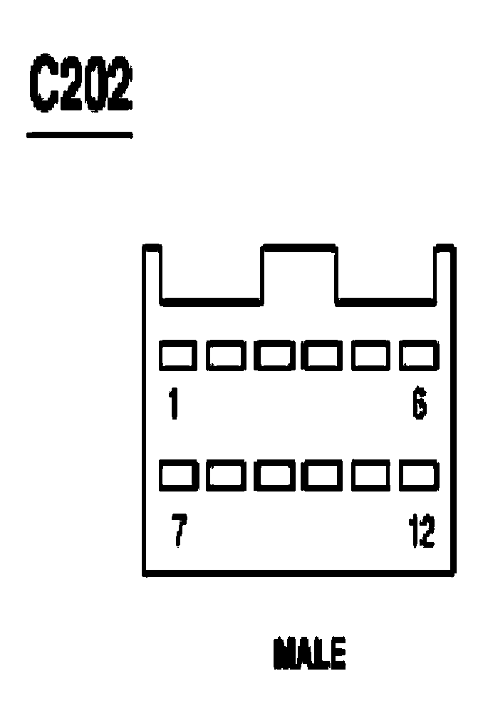 G03987655