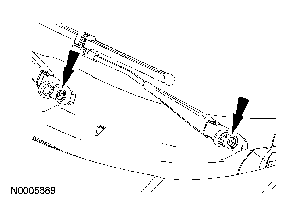 G03989331