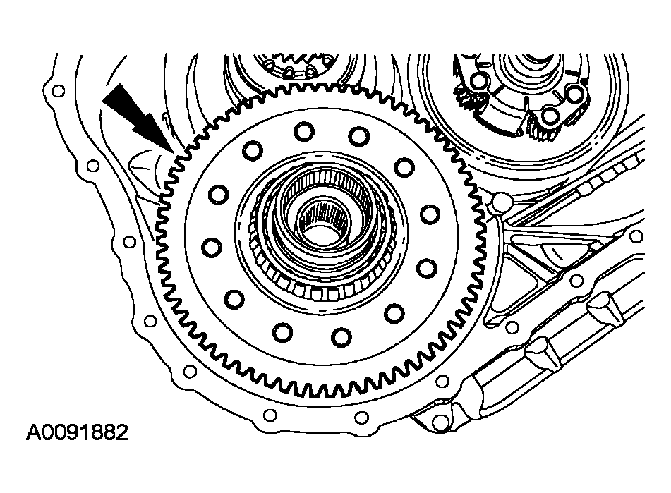 G03991081