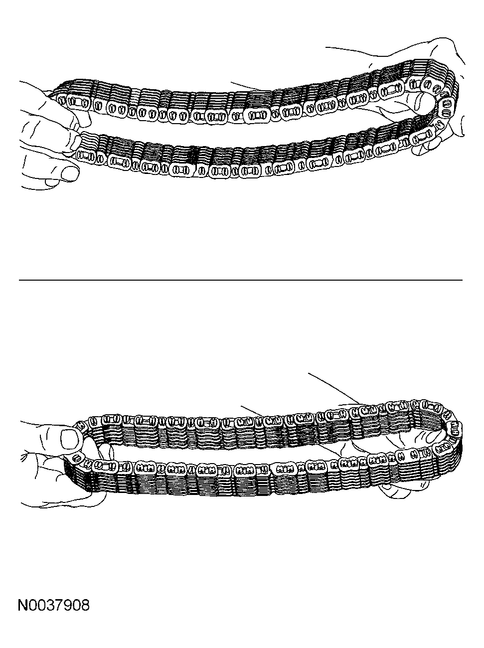 G03991242
