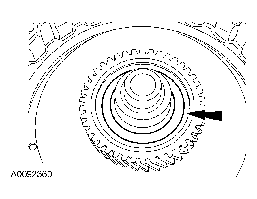 G03991424