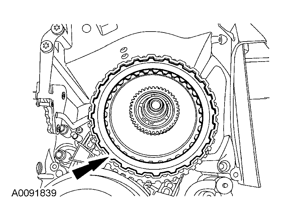 G03991433