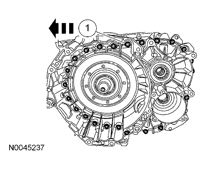 G03991454