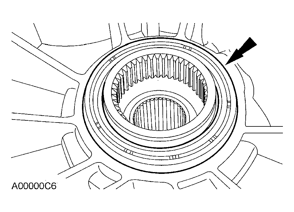 G03991456