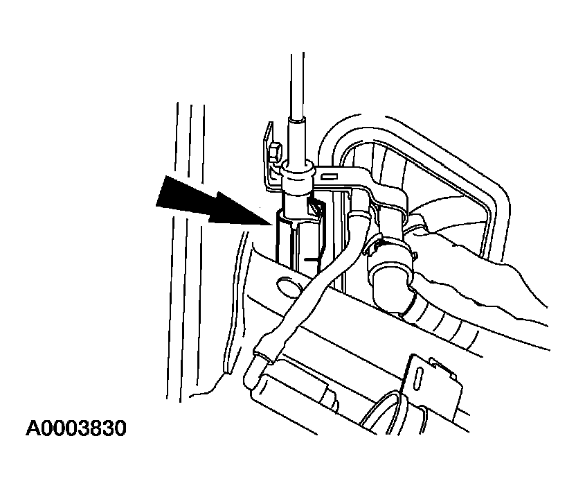 G03995031