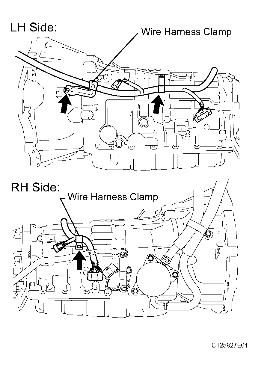 G04045952
