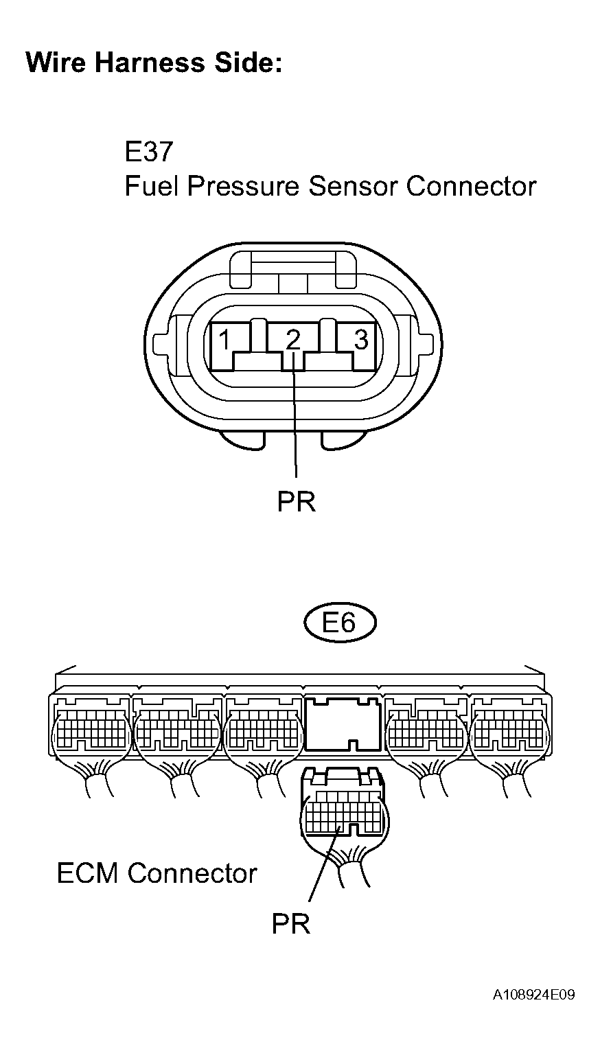 G04054646