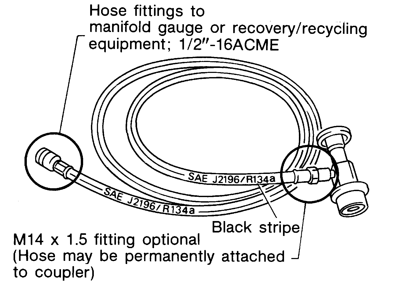 G04077800