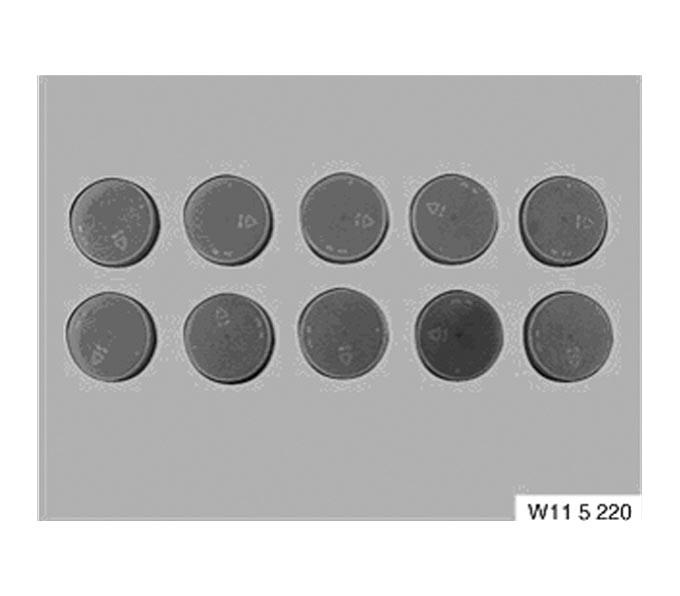 G04226345