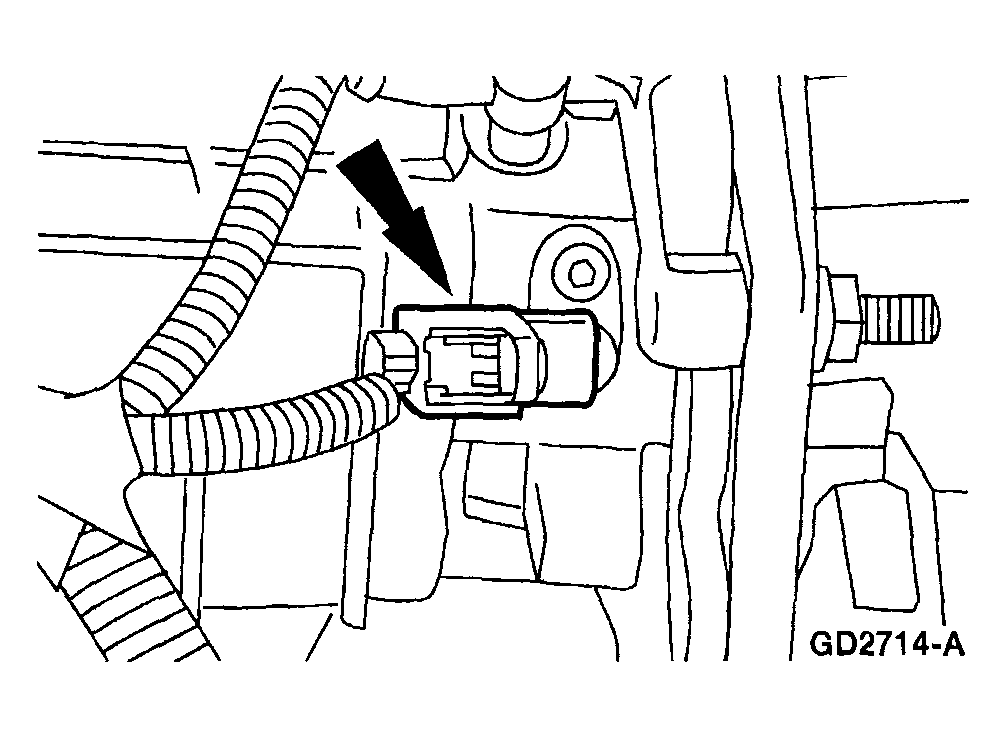 G04309386