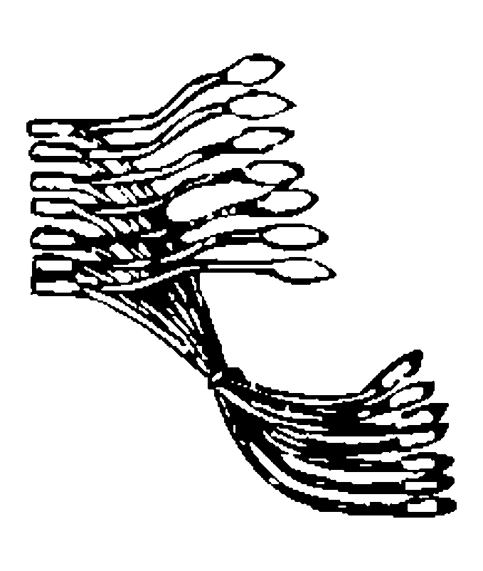 G04540756