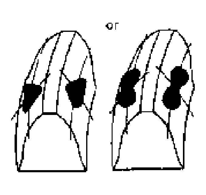 G04590605