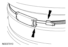 G04617559