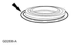 G04620229