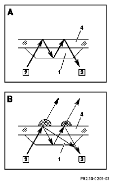 G04636902