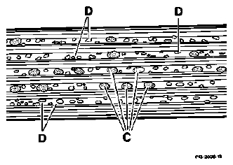 G04678551