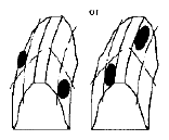 G04847475