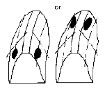 G04847476