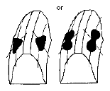 G04847477