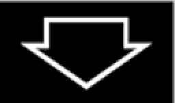 DOWN BUTTON