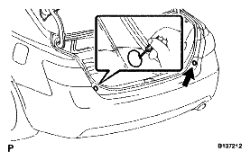 G04981908