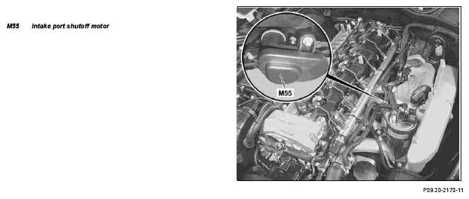 G04982854