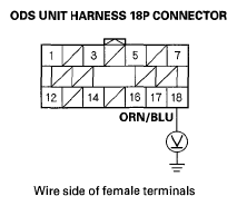 G05489755
