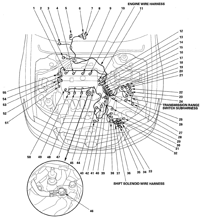 G05492753