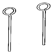 G05498950