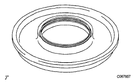G05591351
