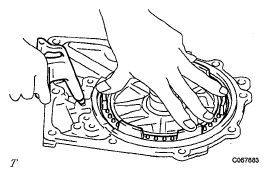 G05591398