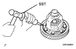 G05591446